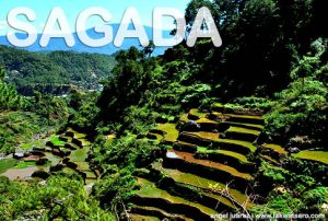 Sagada Rice Terraces