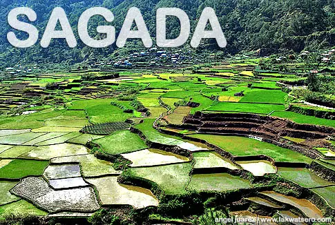 Sagada Rice Terraces