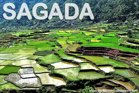 Sagada Rice Terraces Sagada Rice Terraces