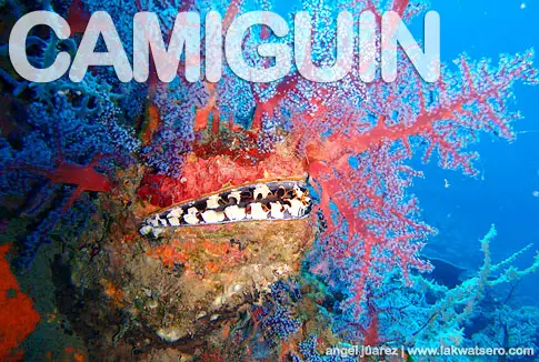 Diving in Camiguin