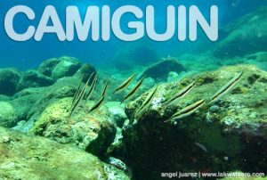 Diving in Camiguin