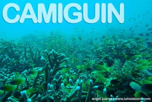 Diving in Camiguin