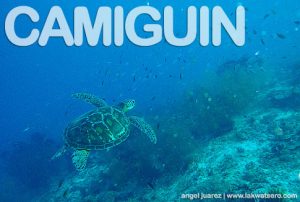 Diving in Camiguin