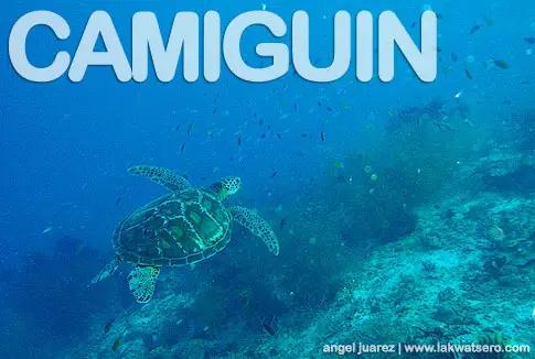 Diving in Camiguin Diving in Camiguin