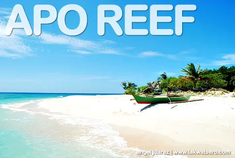 Apo Reef