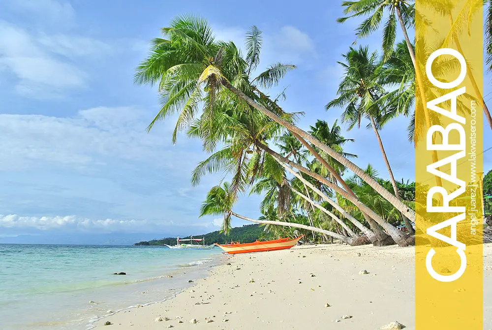 Carabao Island