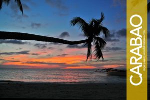 Carabao Island