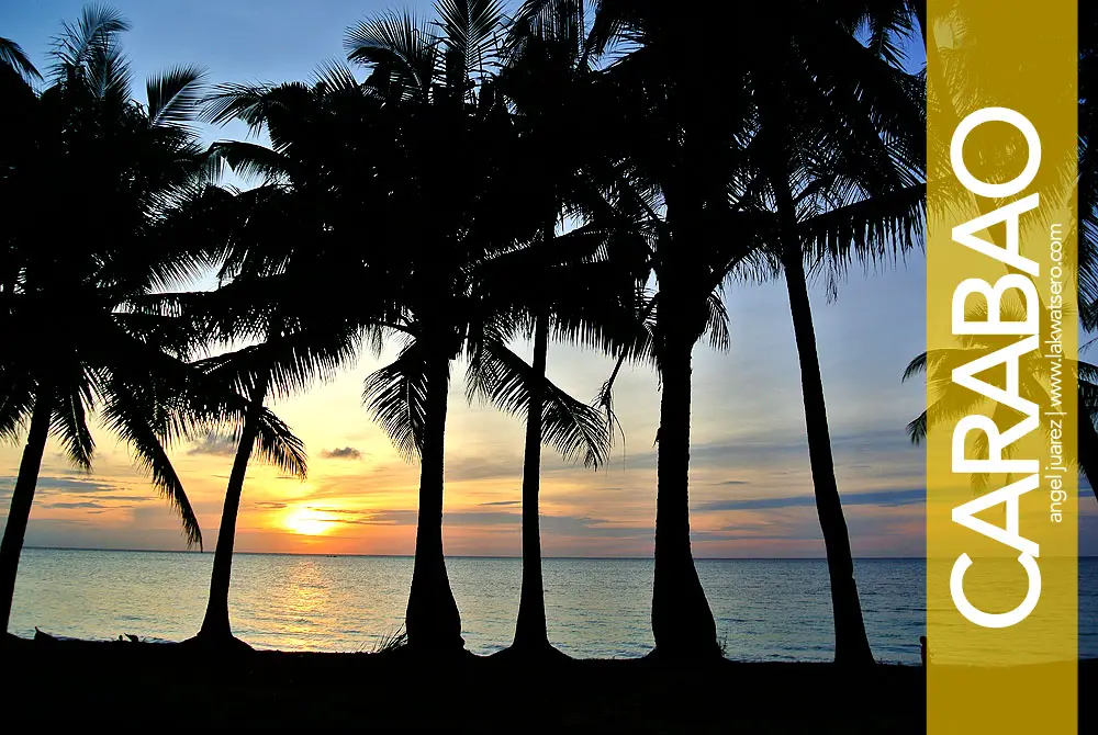 Carabao Island