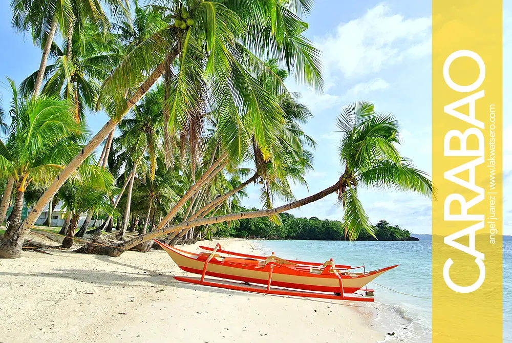 Carabao Island