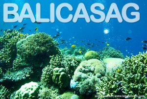 Balicasag