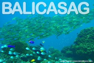 Balicasag