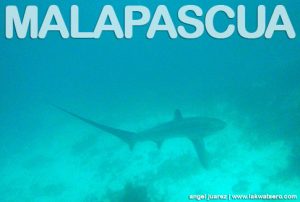 Malapascua