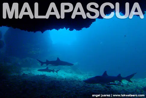 Malapascua