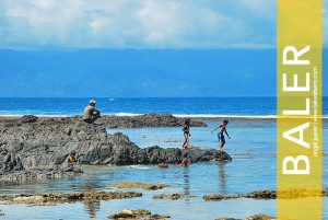 Baler
