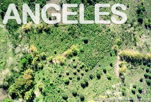 Ultralight Aircraft Ride Angeles