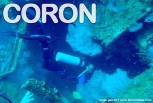 Diving in Coron