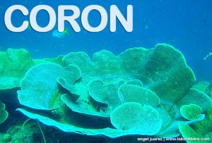 Diving in Coron