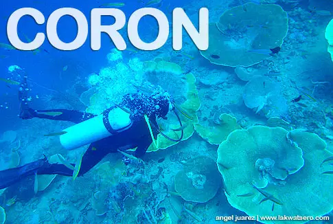 Diving in Coron