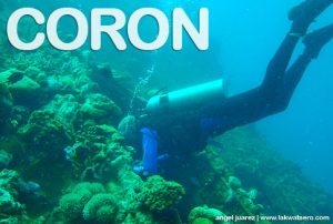 Diving in Coron