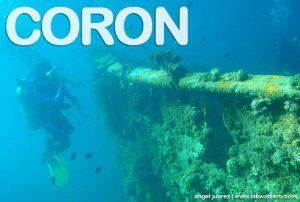 Diving in Coron