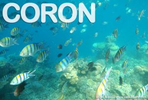 Coron