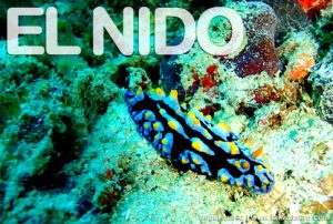 Diving in El Nido