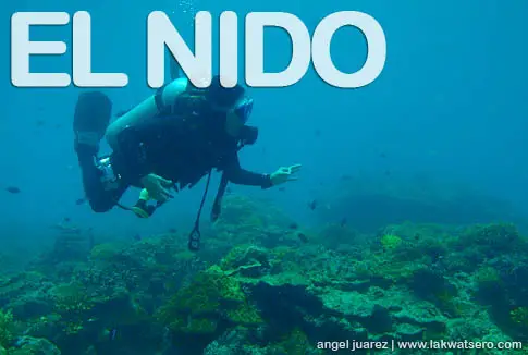 Diving in El Nido