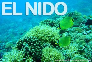 Diving in El Nido