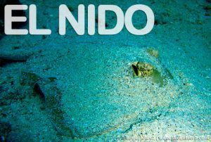 Diving in El Nido