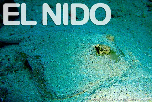 Diving in El Nido