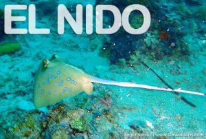 Diving in El Nido