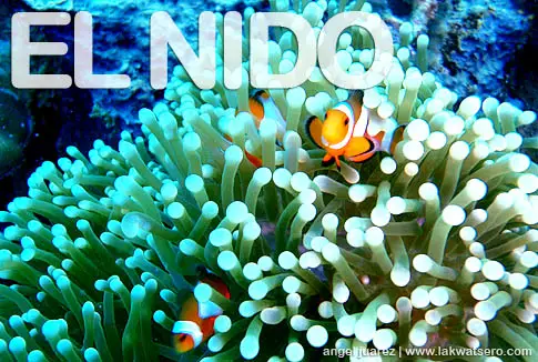 Diving in El Nido