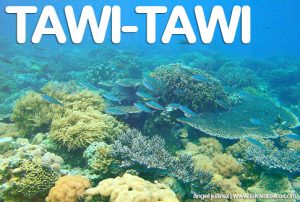 Tawi-Tawi