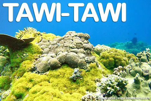 Tawi-Tawi