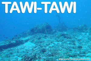 Tawi-Tawi