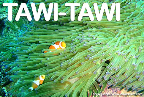 Tawi-Tawi