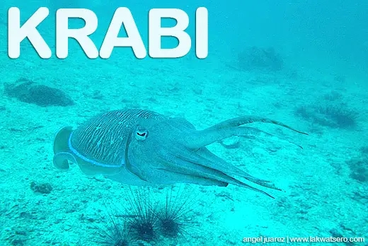 Krabi