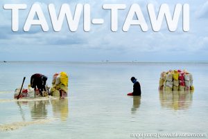 Tawi-Tawi