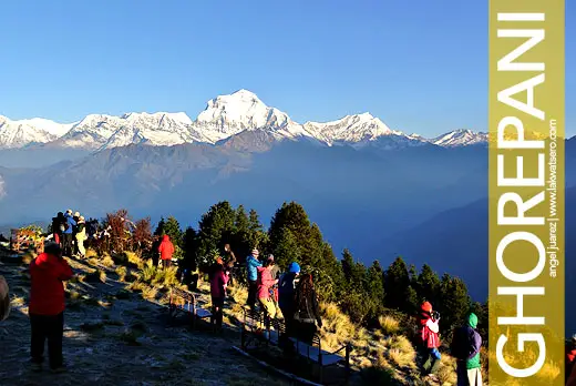 Poon Hill