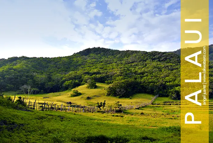 Palaui Island