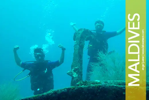 Scuba Diving in Maldives