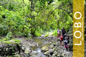 Mt. Banoi