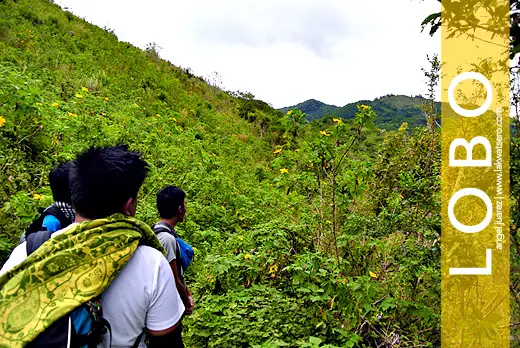 Mt. Banoi