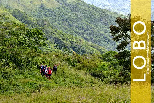 Mt. Banoi