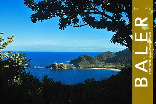 Baler