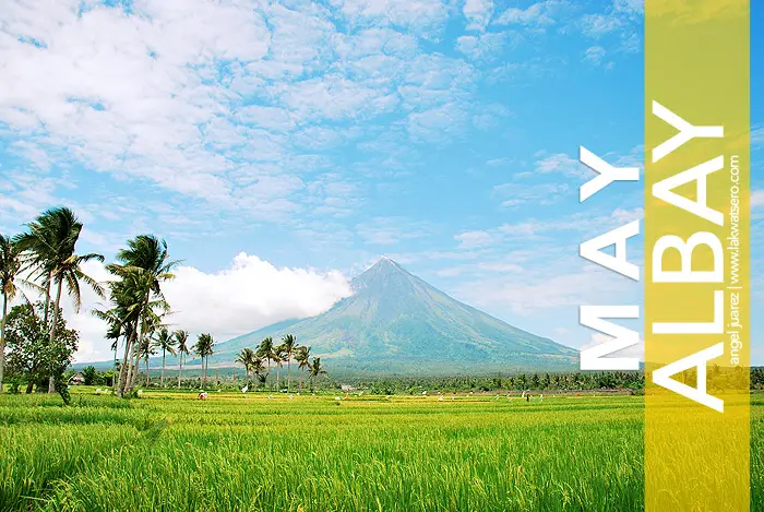 Albay