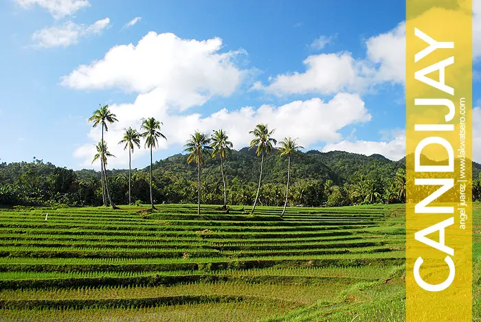 Cadapdapan Rice Terraces