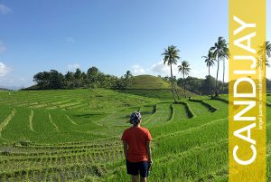 Cadapdapan Rice Terraces