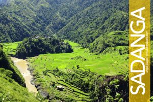 Anabel Rice Terraces