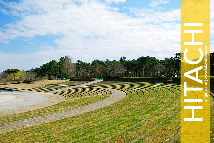 Hitachi Seaside Park